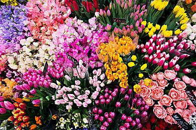 科隆：国产开放世界武侠《燕云十六声》首支预告